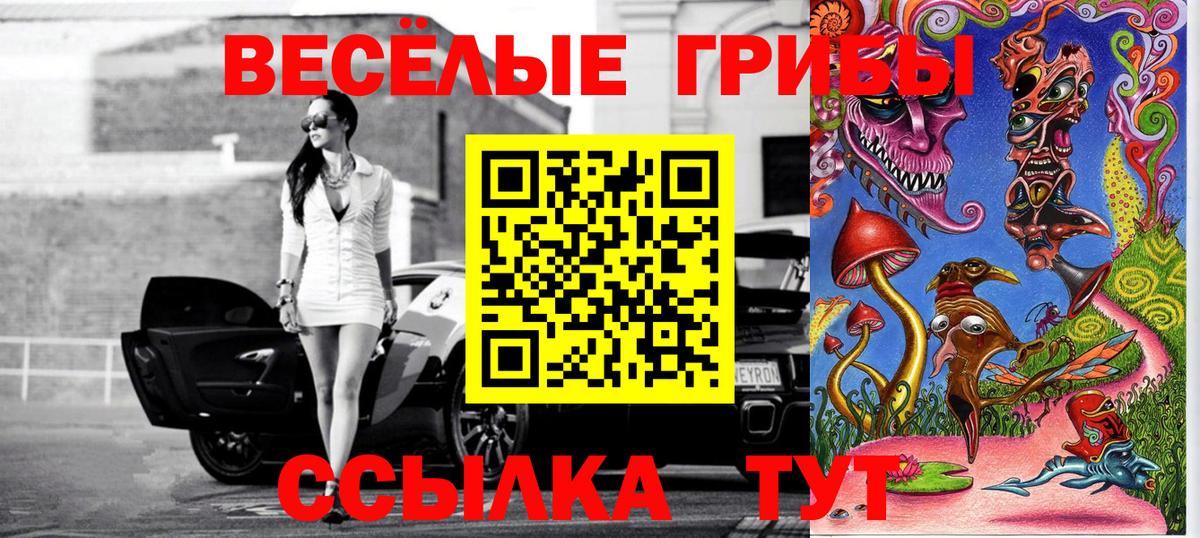 Вязьма  Галлюциногенные грибы прущие грибы  Вход с VPN 