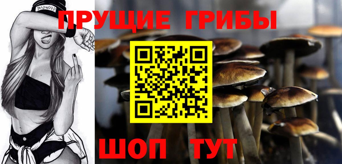 Галлюциногенные грибы ЛСД Вязьма